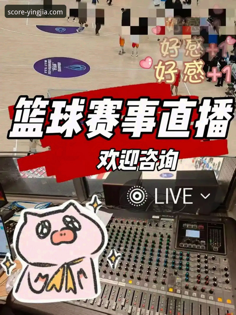 资深体育迷的深度剖析：盈嘉体育比分直播平台如何重塑观赛体验